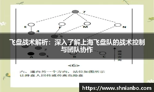 飞盘战术解析：深入了解上海飞盘队的战术控制与团队协作