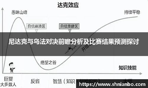尼达克与乌法对决前瞻分析及比赛结果预测探讨